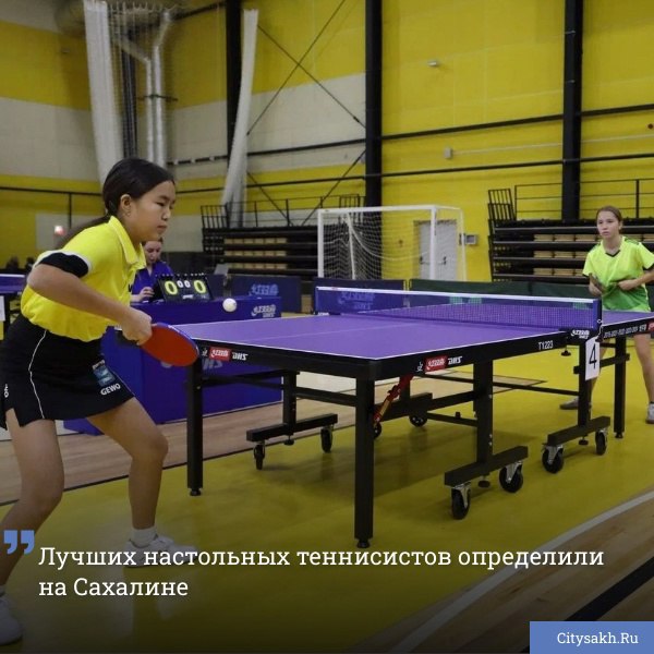 В Южно-Сахалинске на базе учебно-тренировочного центра «Восток» прошел турнир по настольному теннису «Будущее России», который собрал 70 спортсменов со всего островного региона, а также Камчатского и Приморского краев.