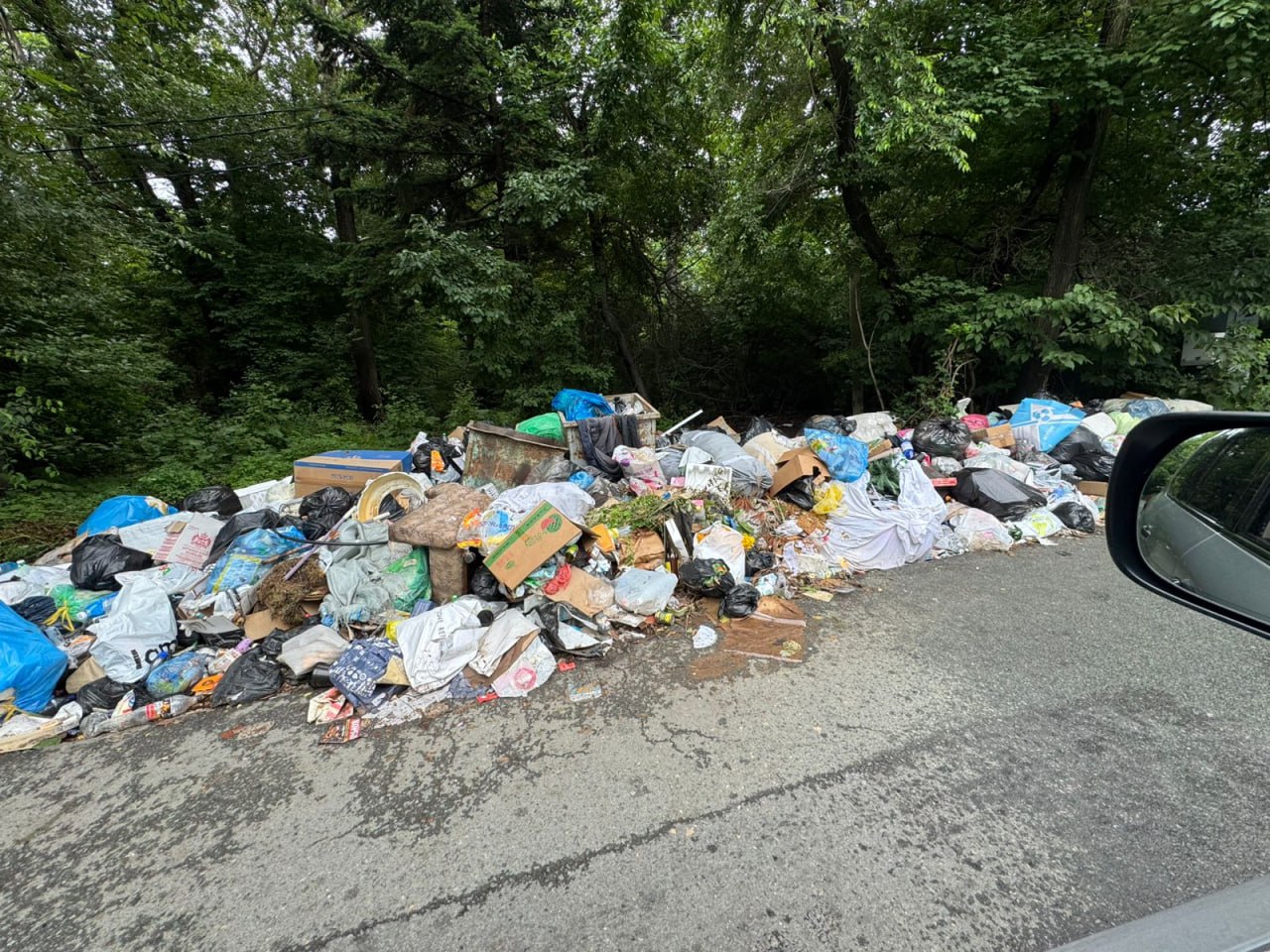 Жители пригорода Владивостока жалуются на мусорную свалку под окнами детской больницы                                                     Мусорная свалка отравляет жизнь жителям улицы Семирадского. В районе 17 дома - это здание приморского детского краевого фтизиопульномологического центра стоят два бака, но их явно недостаточно.  Отходы вываливаются через край и их не успевают вывозить. Сообщается, что баки принадлежат администрации города. Граждане неоднократно писали чиновникам обращения с просьбой установить дополнительные емкости для сбора мусора, но все безрезультатно. Нормальный вывоз, а его осуществляет компания "Зеленый Владивосток", тоже не организован. Видимо, гражданам придется писать в прокуратуру. Как минимум затронуты интересы больных детей, которым дышать такими миазмами противопоказано.