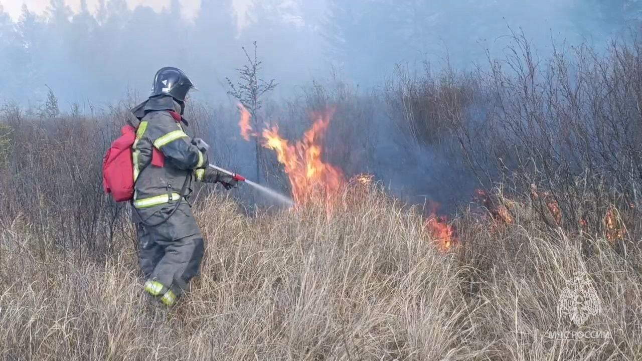 В Забайкалье за минувшие сутки: Ликвидированы 11 пожаров сухой растительности на площади 27 гектаров: В Чернышевском районе, на 279 километре федеральной трассы «Амур», огнеборцы пожарно-спасательных частей № 2, 38, 40, 42 МЧС России ликвидировали пожар сухой растительности на площади 15 гектаров. Ликвидированы 26 техногенных пожаров: В СНТ «Светофор» Читинского района произошёл пожар дачного дома, гаража и надворной постройки, который ликвидировали на площади 96 квадратных метров огнеборцы специализированной пожарно-спасательной части МЧС России и пожарной части № 113 Забайкалпожспаса. На водных объектах происшествий не зарегистрировано. На ДТП пожарно-спасательные подразделения привлекались 3 раза. В двух случаях отключали аккумуляторные батареи. 1 июня днем местами небольшой дождь, по южной половине края до умеренного. Ветер юго-восточный 6-11 м/с, в отдельных районах 15-20 м/с. Температура +18…+23°, при облачности +10…+15°.