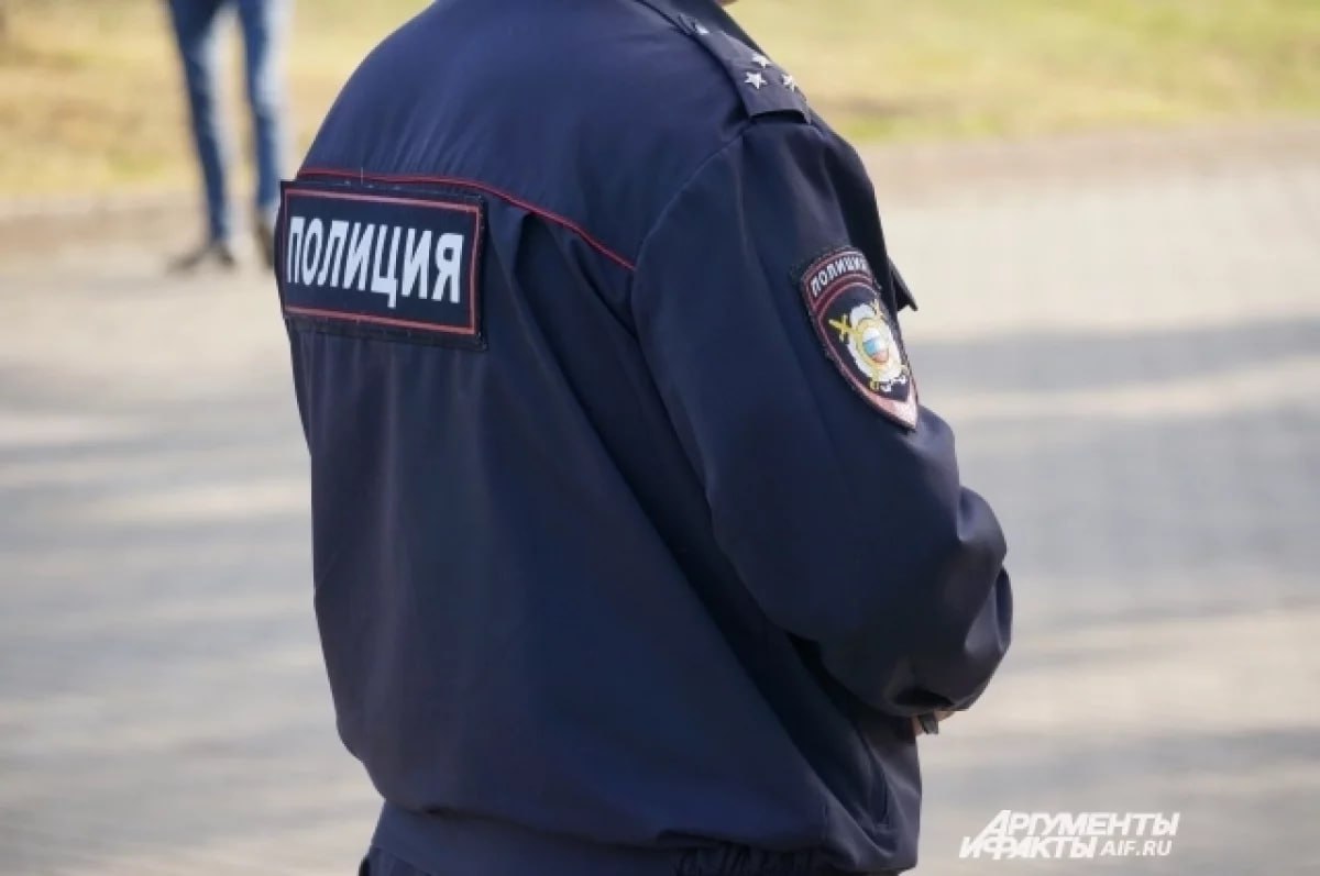 Уголовное дело завели в Дагестане против подростка по статье о покушении на совершение теракта По данным республиканского управления СКР, несовершеннолетний житель региона запланировал преступление в марте 2025 года. Сделать задуманное он собирался в Буйнакске. Фигурант забрал в заранее выбранном месте самодельное взрывное устройство, но его вовремя задержали полицейские. По информации телеграм-канала «Сапа Кавказ», подозреваемому 16 лет и он собирался взорвать себя у административного здания районного отдела МВД. Телеграм-канал пишет, что мальчик разделял идеи запрещённой в России международной террористической организации «Исламское государство» и учился делать бомбы. О тайнике со взрывным устройством ему сообщил неизвестный связной. Подростка задержали на улице Мариенко, а взрывчатку уничтожили специалисты. Уточняется, что против несовершеннолетнего также завели уголовное дело за призывы к терактам в телеграм-канале. Подозреваемого арестовали. Следователи закрепляют доказательства. «ВКонтакте» и в «Одноклассниках», чтобы быть в курсе самых интересных новостей Кавказа. Фото: Ольга Семёнова / АиФ. -канал АиФ – Северный Кавказ