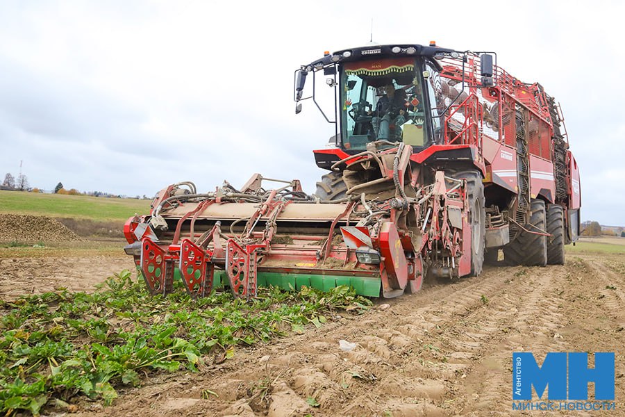 Александр Лукашенко поздравил работников сельского хозяйства и перерабатывающей промышленности АПК Этот год выдался экстремально сложным из за погодных катаклизмов Но благодаря вашим профессионализму усердию и рачительному отношению к родной земле в стране собран рекордный урожай зерновых зернобобовых и рапса более 11 миллионов тонн Глава государства подчеркнул что такой высокий результат стал возможным благодаря труду тысяч людей для которых земля источник вдохновения и силы Минск Новости MINSKNEWS BY Telegram Viber FB VK Inst TikTok YouTube