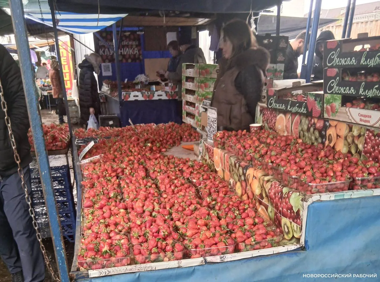 В Новороссийске подешевела кубанская клубника Рынки Новороссийска завалены кубанской клубникой Если неделю полторы назад она встречалась наряду с импортными ягодами то сейчас турецкого и греческого товара почти не осталось на торговых точках Цены на местную клубнику начинают снижаться Активно идет урожай из парников Ранее на центральном рынке его предлагали от 500 до 800 рублей за килограмм Теперь же цены на товар из Белореченска Крымска Усть Лабинска в среднем составляют 400 рублей Есть предложения и за 350 рублей Но самые дешевые варианты означают что срок годности ягод уже практически истек Надо внимательно смотреть не портятся ли они За 400 рублей вчера предлагали крупную клубнику сорта Азия и Клери считается что они обладают каким то особенно изысканным вкусом и садовую землянику не самую красивую на вид Но многие покупатели отдают предпочтение именно ей Она удивительно сладкая novorab official Мы в МАХ