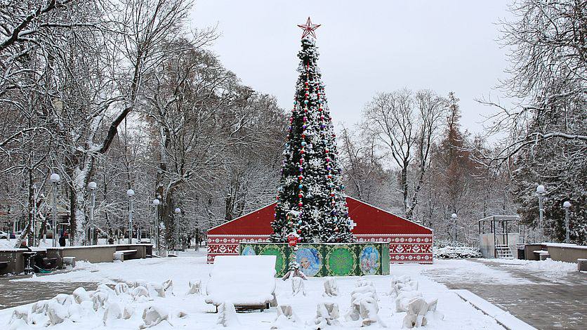 Ряд мероприятий отменили в парках Орла 10 и 11 января в городском и детском парках Орла были запланированы игровые программы и праздничный концерт Однако из за плохих погодных условий было принято решение их отменить Читайте нас в MAX Подписаться на канал