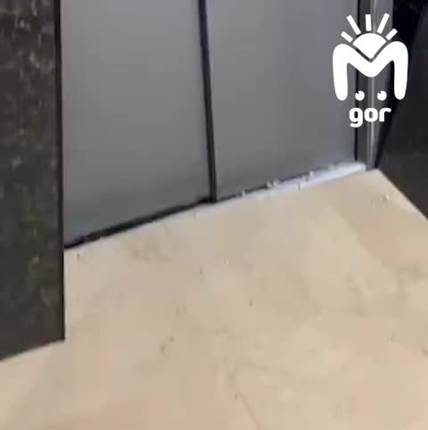 Проверка в Дагестане после инцидента с лифтом в Каспийске, где заблокированы дети