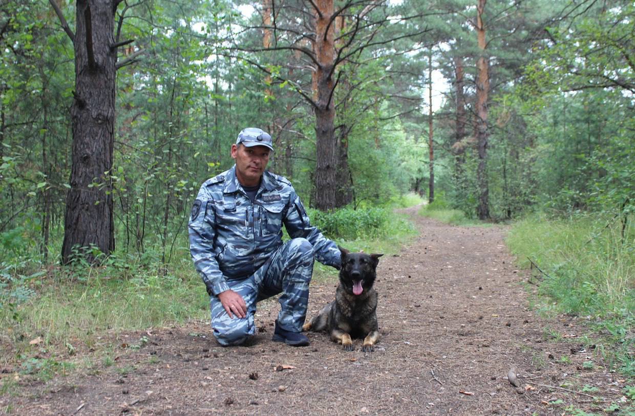 В Минусинском районе кинолог со своей служебной собакой разыскали потерявшуюся в бору 84-летнюю пожилую женщину 18 июля в дежурную часть полиции поступило сообщение от жительницы Абакана. Она сообщила, что ее 84-летняя подруга, с которой они вместе отдыхали на озере Тагарском, днем пошла в бор и до сих пор не вернулась. На место был направлен экипаж ППС, сотрудники уголовного розыска, участковый уполномоченный полиции, кинолог с собакой, спасатели и волонтёры. Ранним утром 19 июля младший инспектор-кинолог старший прапорщик полиции Руслан Чугин со своей четвероногой напарницей по кличке Рокси обследовали прилегающую территорию. В лесном массиве служебная собака учуяла запах женщины, взяла след и вывела сотрудника полиции на потерявшуюся 84-летнюю пенсионерку. Как выяснилось, жительница Абакана сначала заблудилась, а затем прилегла отдохнуть. Убедившись, что женщина чувствует себя хорошо и в медицинской помощи не нуждается, сотрудник ОВД вместе со своей четвероногой напарницей помог ей добраться до города. В настоящее время ее жизни и здоровью ничего не угрожает. ГУ МВД России по Красноярскому краю