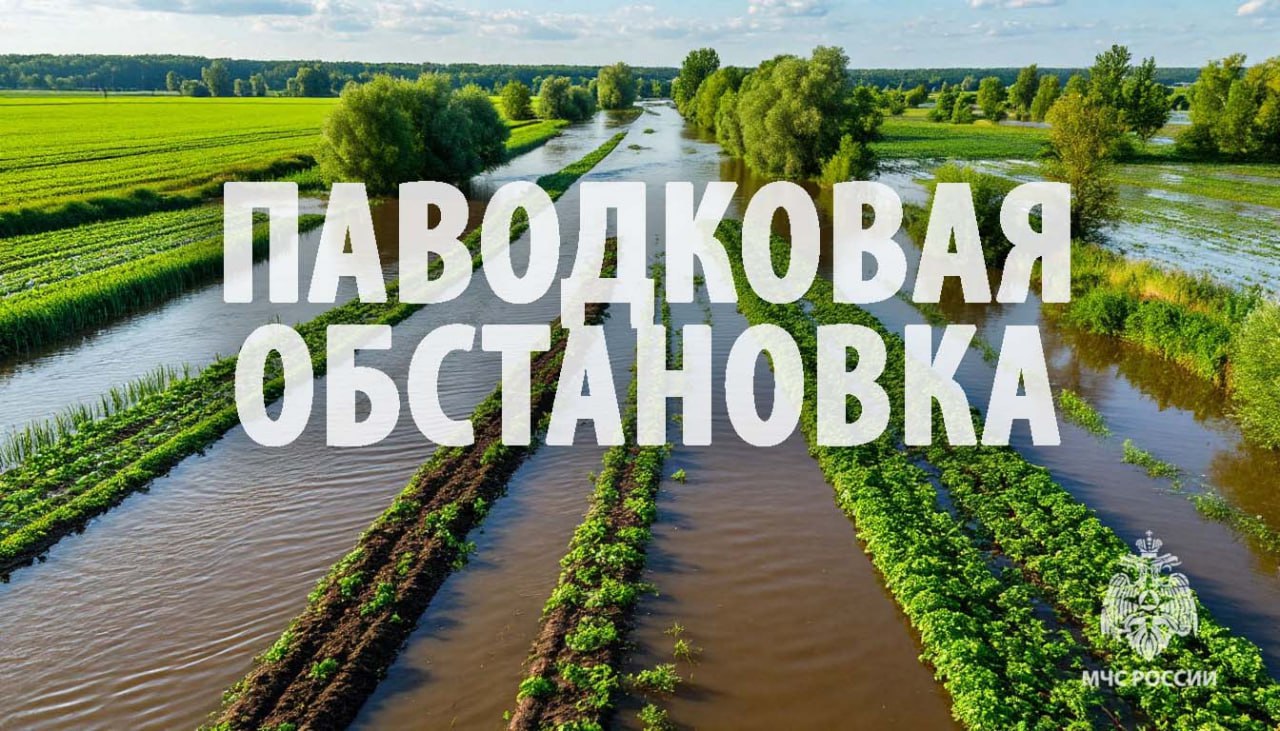 На контроле специалистов МЧС России паводок  На вечер 7 июля 2025 года, по данным единых дежурно-диспетчерских служб муниципальных образований, подтопления отмечаются в 6 населенных пунктах.   В Комсомольском районе в поселке Гурское подтоплен 1 приусадебный участок,  в поселке Снежный - 15 огородов.    В Охотском городском округе вода зашла на территорию 22 приусадебных участков в селе Вострецово. Также подтоплен участок межпоселковой дороги между селом Вострецово и поселком Октябрьский. Кроме этого отмечается вода на участке внутрипоселковой дороги в селе Новое Устье и на  участке межпоселковой дороги у села Арка.   В Нанайском районе паводок зашел на два участка внутрипоселковых дорог в селе Верхняя Манома.   Органами местного самоуправления организован мониторинг паводковой обстановки, проводится подворовый обход. В Центре управления ив кризисных ситуациях ГУ МЧС России по Хабаровскому краю круглосуточно ведется  уточнение оперативной обстановки, организовано межведомственное взаимодействие со специалистами Дальневосточного УГМС, ЕДДС районов, главами поселений.    из нейросети  #паводок