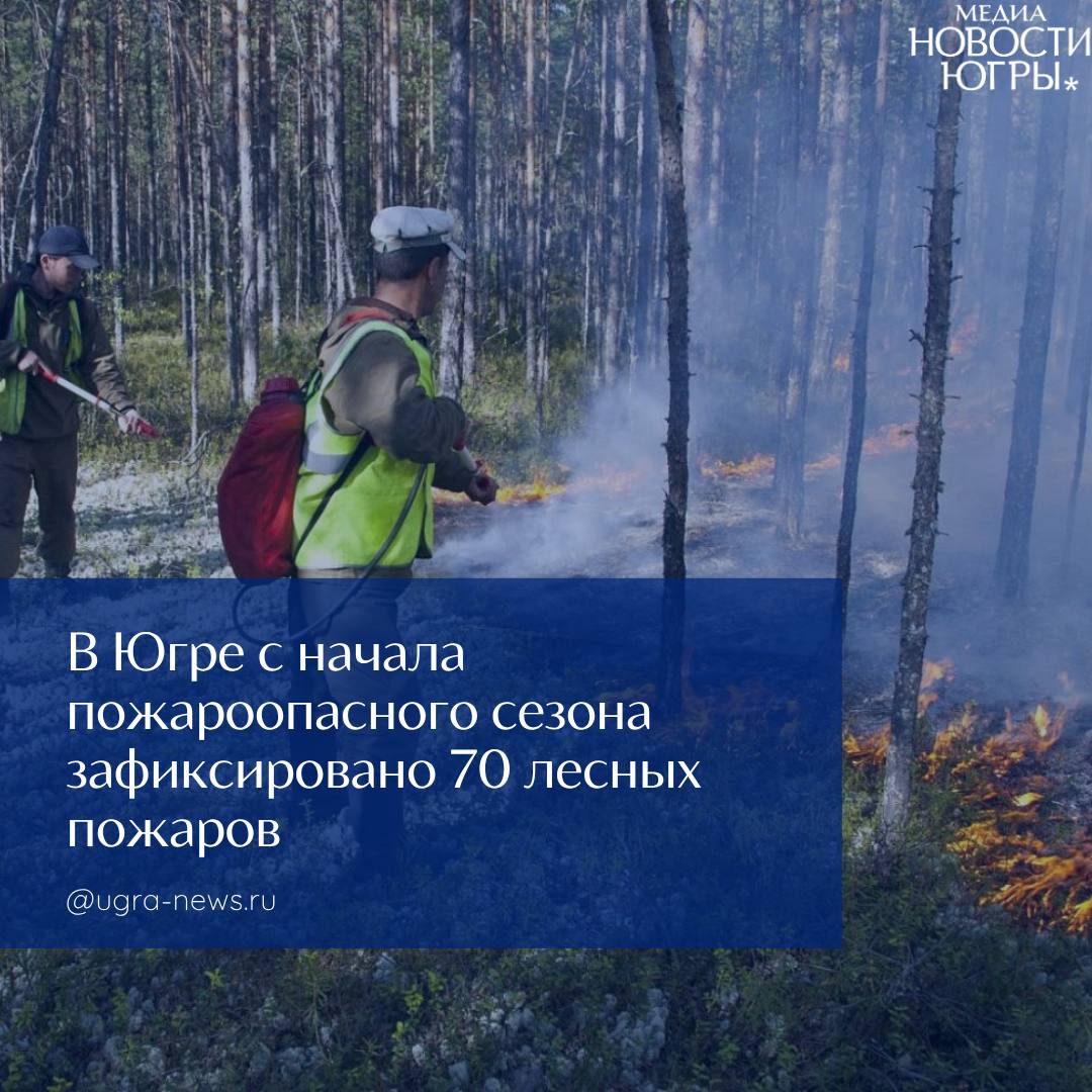 В лесах Югры за сутки потушили один и локализовали два лесных пожара По состоянию на утро 20 июня локализованы два лесных пожара на пройденной огнем площади 75 гектаров. С огнем борются в Советском и Березовском лесничествах. Как сообщил первый заместитель директора департамента недропользования и природных ресурсов Югры Егор Збродов, накануне было ликвидировано одно возгорание — в Ханты-Мансийском районе на площади 23,4 гектара. «Всего с начала пожароопасного сезона в Ханты-Мансийском автономном округе зафиксировали 70 лесных пожаров на площади, пройденной огнем, 2292 гектара», — сообщает пресс-служба департамента недропользования и природных ресурсов Югры. Наибольшее количество очагов возникало в Советском лесничестве — 22, в Самаровском — 11, в Урайском — 6. Что касается площади, пройденной огнем, то наиболее значительная она в Урайском лесничестве — 620,7 гектара, в Советском лесничестве — 473,8 гектара и Кондинском лесничестве — 337, 6 гектара. Подробнее читайте тут!