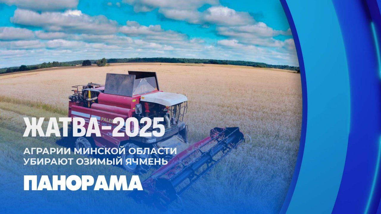 Сберечь каждый колос и убрать хлеб без потерь!   Такая задача стоит перед аграриями Минской области. В Центральном регионе полевые работы в активной фазе.   Более половины площадей с озимым ячменем уже убрано.  Средняя урожайность этой культуры выше прошлогодней: почти 46 центнеров с гектара. Темпы жатвы сдерживает неустойчивая и дождливая погода, поэтому аграрии максимально используют каждый погожий день, чтобы получить достойный результат.