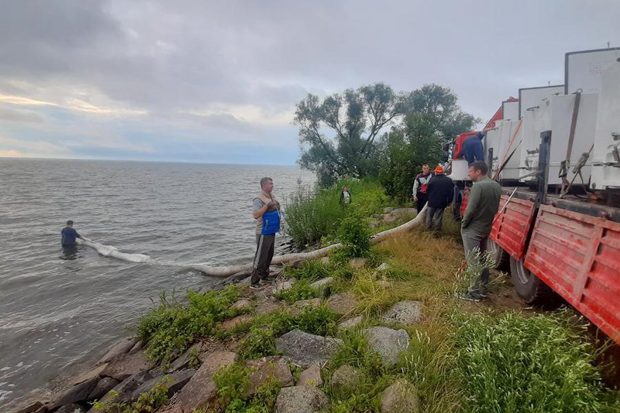 В Куршский залив выпустили полмиллиона мальков сига 17 и 18 июля ГБУ «Балтберегозащита» совместно с ЗБТУ, ООО «Полекс-Аква» и АтлантНИРО провели выпуск 500 тысяч мальков сига в акваторию Куршского залива. Выпуск проводили в рамках компенсации ущерба водным биоресурсам, причинённого в результате образования территории площадью 12,80 га с консолидацией грунтов на острове Октябрьском, на которой был построен стадион во время подготовки к чемпионату мира ФИФА в Калининграде. Фото: страница ГБУ «Балтберегозащита» в соцсети «ВКонтакте»