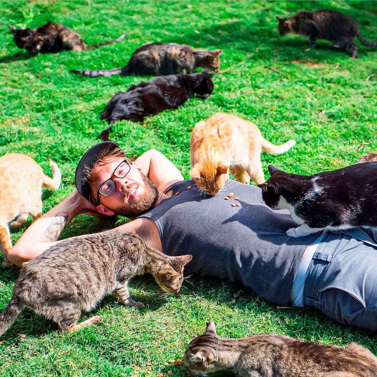 Кошки повышают риск развития шизофрении Учёные обнаружили у кошатников риск развития шизофрении вдвое выше Причина паразит Toxoplasma gondii который передаётся от кошек До 70 владельцев могут быть его носителями Паразит способен влиять на мысли эмоции и поведение У людей с психической нестабильностью это может стать триггером нервных срывов обожаю кошечек это все неправда админу кот сказал НМШ