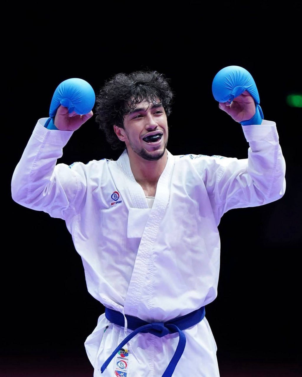 Первая медаль независимой Армении на чемпионате Европы по карате среди взрослых: Гор Нерсисян завоевал бронзовую медаль. Национальная федерация каратэ Армении