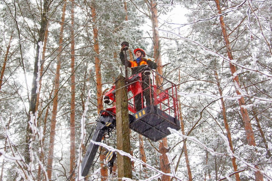 На Гомельщине возникли временные перебои с электроснабжением Энергосистема страны переведена в режим повышенной готовности из за ухудшения погодных условий