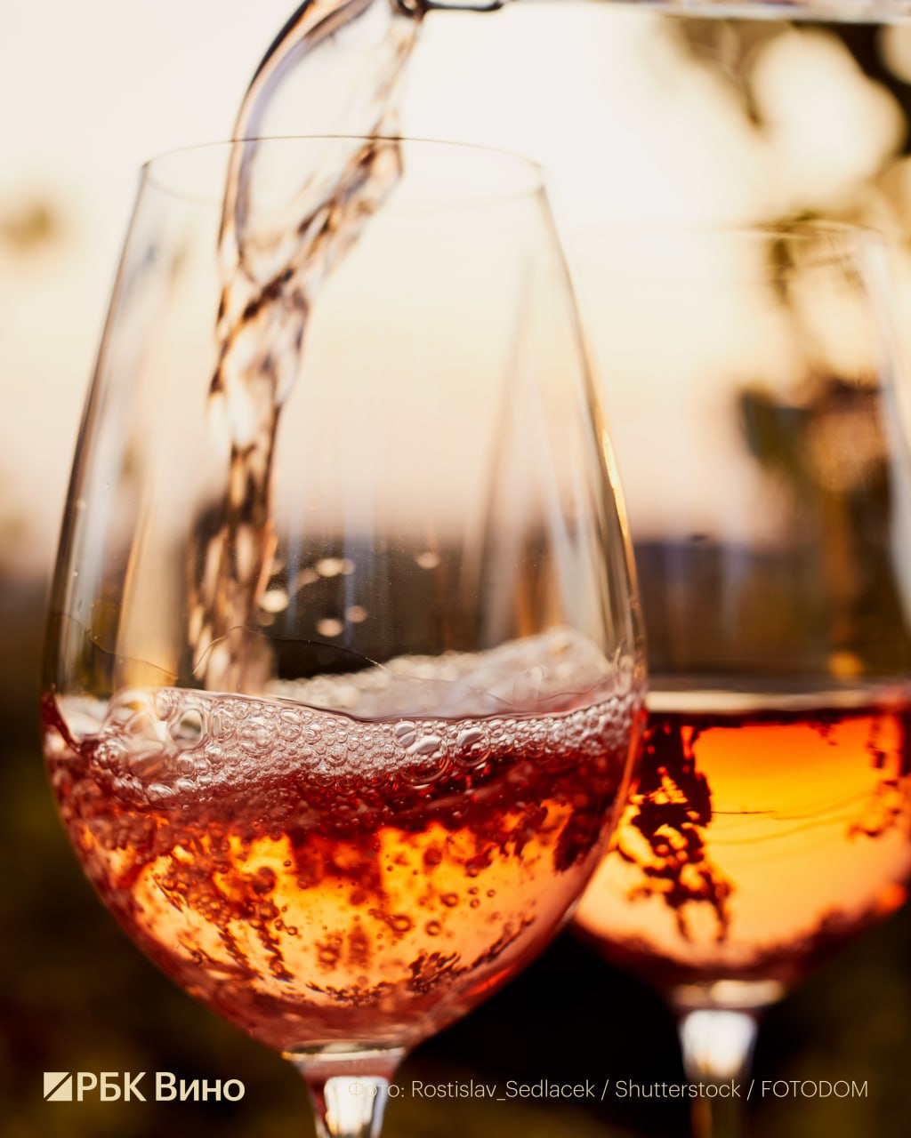 Платиновых вин в новом Гиде по российским винам стало на треть больше  В новом Гиде по российским винам РБК и Артура Саркисяна платину оценку 92 балла и выше получили 33 вина 14 красных 18 белых и одно розе Это на треть больше чем было годом ранее По словам Саркисяна это говорит о продолжающемся росте качества белых вин в России Впервые эксперт отметил эту тенденцию в гиде 2025 года основной темой которого стал прорыв белых Очень важный момент что в гид все таки попадают более молодые вина которые только выходят на рынок но при этом их смогли выдержать в бутылках что дает вину возможность раскрыться и показать все свои свойства рассказал РБК Вино Саркисян  Максимальная оценка нового гида 94 балла присвоена шести винам Среди них появился новичок красное сухое Triumvirate от Mantra Estate урожая 2023 года бленд сиры мерло и каберне франа Это вино которое выпускается впервые и является флагманом Mantra Estate До того как представить это вино его выдерживали в бутылках Чтобы рынок увидел его таким как было задумано ему нужно было время Более того это вино способно к длительной выдержке это видно уже сейчас У него очень большой потенциал и оно в целом сделано безумно красиво рассказал о Triumvirate Саркисян Какие еще вина получили 94 балла читайте в полной версии материала на сайте РБК Вино Купить гид можно тут времявина гид Подписаться Время вина