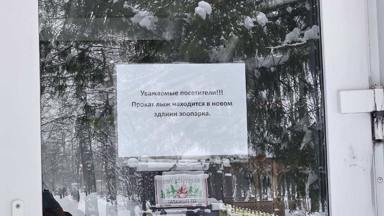 Множество любителей лыжных прогулок по Ельниковской роще Новочебоксарска не могут найти новый прокат лыж По привычке горожане приходят к зданию администрации парка Прокат лыж в новом здании оплачивать у кассира зоопарка сообщили в Ельниковской роще