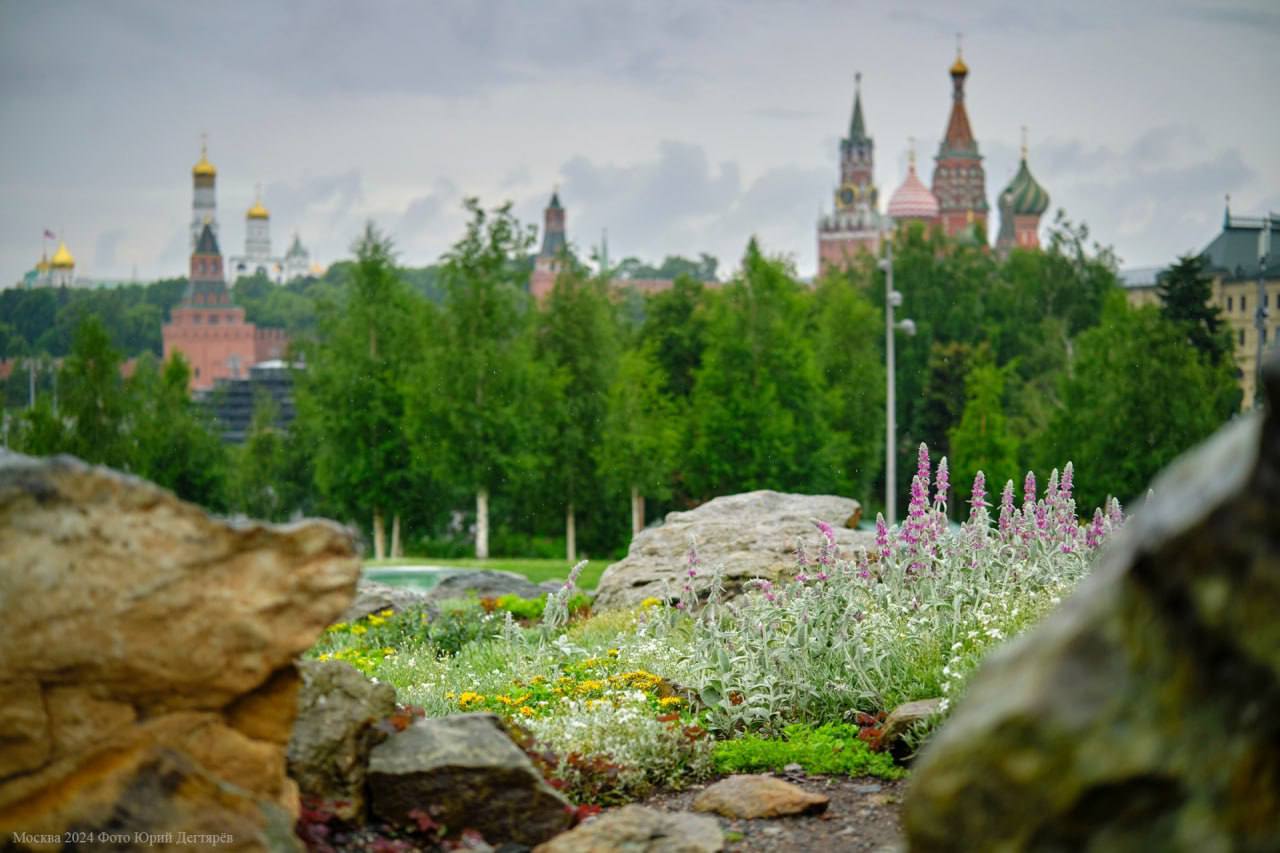 В Москве 2024 год стал самым теплым за всю историю метеорологических наблюдений  Средняя годовая температура составила +8,2°С – это рекордно высокий показатель за последние 245 лет. Только январь и май были холодными, остальные месяцы значительно превысили норму.