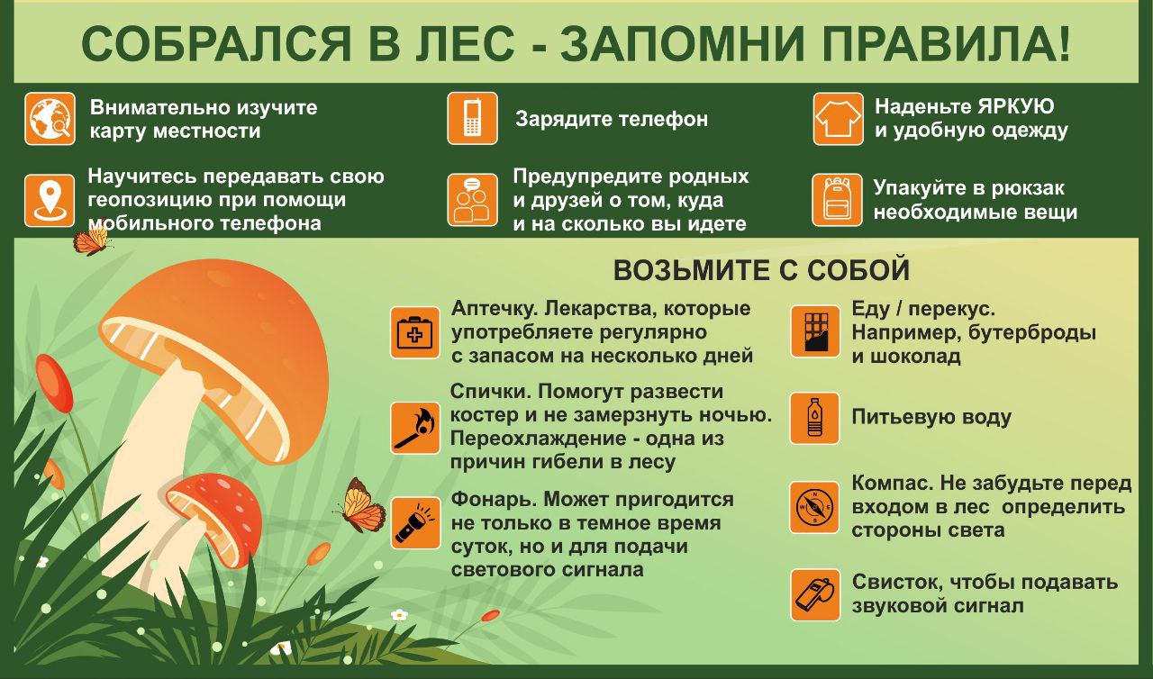 В Хабаровском крае начался сезон «тихой охоты»  Отправляясь за грибами важно помнить не только, о количестве корзин для добычи, но и о правилах нахождения в лесу.     Лес — это место повышенной опасности. Помимо возможной встречи с дикими зверями, клещами, змеями, ядовитыми растениями существует возможность заблудиться.  Для таких прогулок нужно выбирать одежду, максимально закрывающую тело, чтобы уберечься от порезов, царапин и от укусов насекомых.    Не ходите в лес в одиночку и всегда берите с собой заряженный телефон, чтобы оставаться на связи с близкими и вызвать помощь. Планируйте возвращение заранее и выходите из леса до того, как начнет темнеть.  Следует собирать только известные грибы — те, в которых вы уверены. Не берите старые и переросшие грибы — в них накапливаются вредные для человека продукты и впитываются из окружающей среды тяжелые металлы и другие ядовитые вещества.     Собранные грибы необходимо тщательно перерабатывать и подвергать их надежной термической обработке.