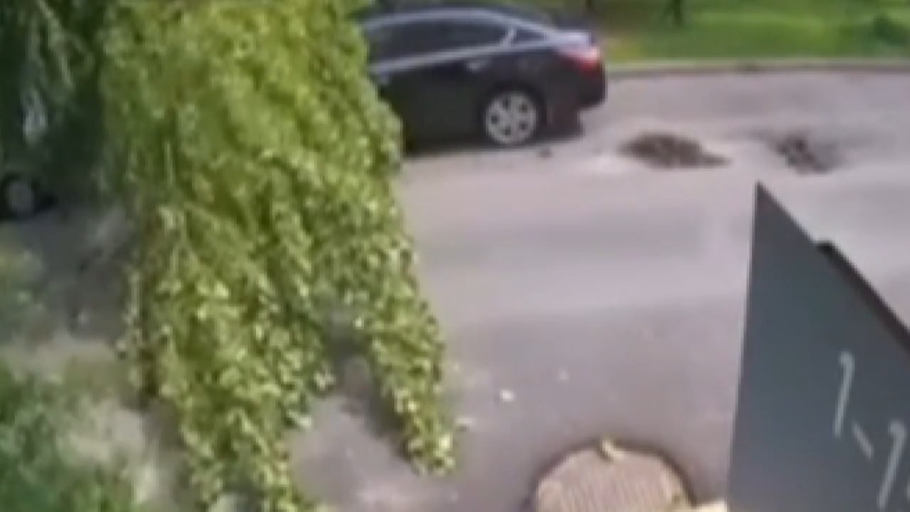В #Орша дерево едва не придавило коляску с младенцем — момент попал на видео В сети распространилось видео, снятое в Орше, где огромная ветка дерева в буквальном смысле падает в нескольких сантиметрах от детской коляски. Трагедии удалось избежать только благодаря мгновенной реакции мужчины, который успел оттащить коляску в последний момент. Случай вызвал волну возмущения в соцсетях — пользователи требуют от коммунальных служб срочно проверить состояние деревьев в городе. Больше видео у нас на YouTube
