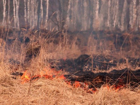 В калужских лесах продолжается противопожарное обустройство В лесах Калужской области сохраняется высокая пожарная опасность. Напомним, что с 9 по 13 июля в регионе ожидается аномальная жара. Для профилактики распространения огня в лесах проводится противопожарное обустройство лесов. Об этом сообщает пресс-служба правительства области.