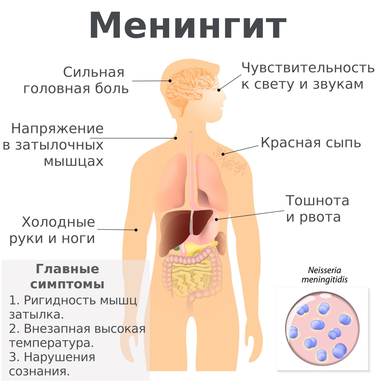 Смертельная инфекция стремительно распространяется в России из-за мигрантов. Заболеваемость менингитом резко взлетела в 2 раза. С начала года в стране зарегистрировано уже 1,2 тысячи случаев заболевания, что вдвое больше, чем за весь 2024 год. Выросла и летальность от менингита: каждый десятый заболевший погибает, а каждый пятый выживший пациент остаётся инвалидом.