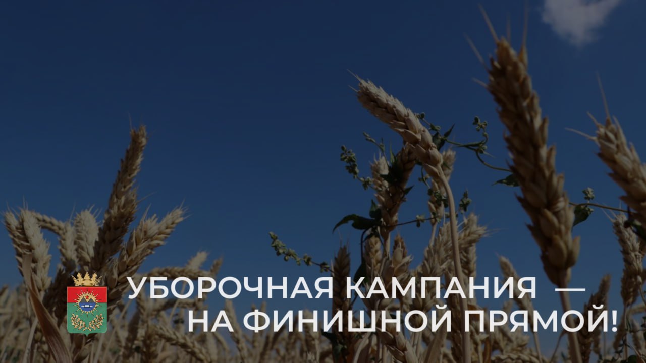 Уборочная кампания зерновых и зернобобовых культур на территории округа уверенно близится к завершению. Так, аграрии уже убрали эти культуры на площади более 6300 гектаров. Не отстают и овощеводы – урожай собран с 8,4 гектаров. Параллельно начата подготовка почвы под озимый сев. К сожалению, этот год выдался непростым для сельского хозяйства. Неблагоприятные погодные условия, наблюдавшиеся в период вегетации, повлияли на урожайность. Тем не менее, хочу выразить искреннюю благодарность нашим аграриям за их стойкость, профессионализм и преданность делу. В сложных условиях они смогли мобилизовать все свои ресурсы, применить накопленный опыт и знания, чтобы минимизировать потери и получить максимально возможный урожай. Итоги уборочной кампании подведем позже, а пока желаю успешного ее завершения нашим сельхозпроизводителям.