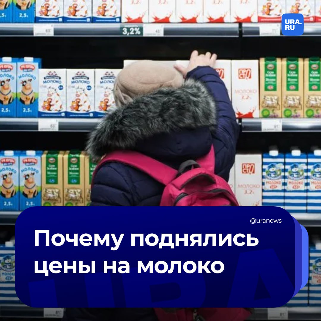 Цены на молоко в магазинах России с начала года выросли на 12%. В то же время его потребление достигло максимума за последние 28 лет, рассказали URA.RU эксперты. Молоко является продуктом первой необходимости, и его стоимость быстро реагирует на изменения рынка, объяснил экс-замминистра сельского хозяйства Леонид Холод.   По словам председателя Совета Молочного союза Людмилы Маницкой, рост цен связан с неполным обеспечением потребностей рынка собственным производством и борьбой с фальсификатом, что увеличивает спрос на молочные компоненты.  Однако власти стимулируют темпы прироста производства молока, и за последние 10 лет они составляли рекордные 5-6% в год, отметил гендиректор «Союзмолоко» Артем Белов.