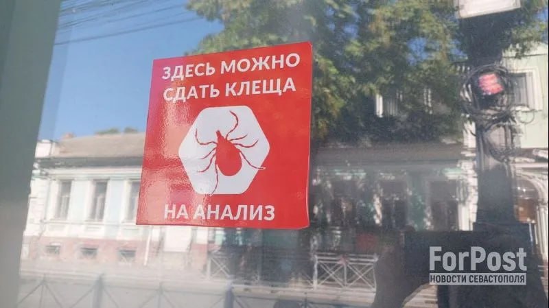 В Крыму и Севастополе с начала сезона зарегистрировано 13 случаев заболевания иксодовым клещевым боррелиозом. Для сравнения: за весь 2024 год — 21 случай. По данным Роспотребнадзора, также зафиксирован один случай клещевого энцефалита. На полуострове два пика активности клещей: май-июнь и август-сентябрь. ForPost