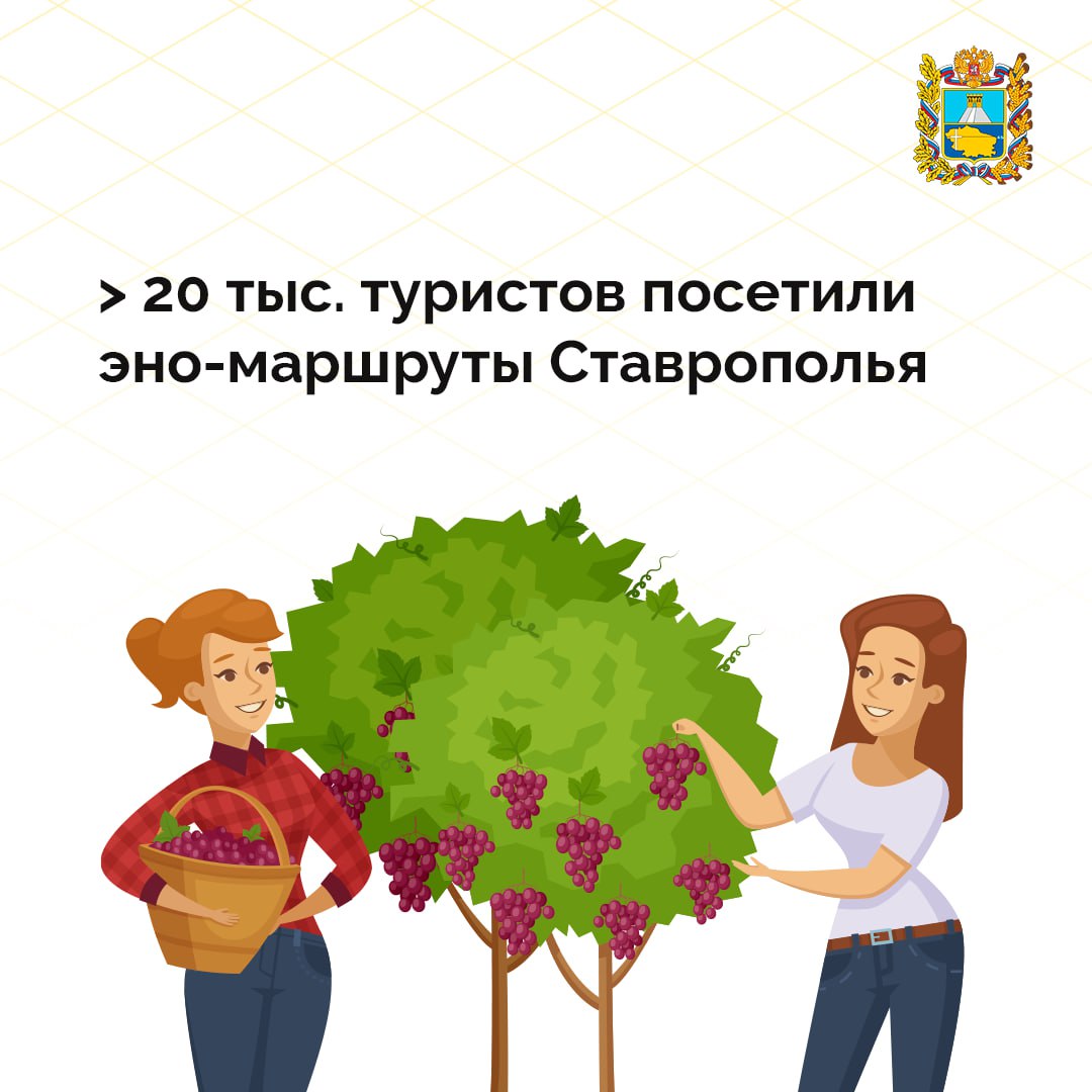 На Ставрополье запустили гастроэнотуристические экскурсии по винодельческим предприятиям За год такие маршруты посетили более 20 тыс. туристов. Сейчас в регионе работают 27 винодельческих предприятий. Среди них есть как крупные производители, так и небольшие компании. «Для продвижения нашей продукции и привлечения в регион туристов в прошлом году мы разработали гастроэнотуристические экскурсионные маршруты по десяти винодельческим предприятиям. Также в туры вошло посещение производителей сопутствующих товаров — крафтовых сыров, мясных деликатесов, лимонадов. Экскурсии сразу стали пользоваться популярностью», — прокомментировал министр экономического развития края Антон Доронин. Ставропольский край входит в 17 виноградо-винодельческих зон России и занимает 4-е место в стране по площадям виноградных насаждений. Субъекты малого и среднего бизнеса получают льготные кредиты и другую помощь в рамках нацпроекта «Эффективная и конкурентная экономика», инициированного президентом России.