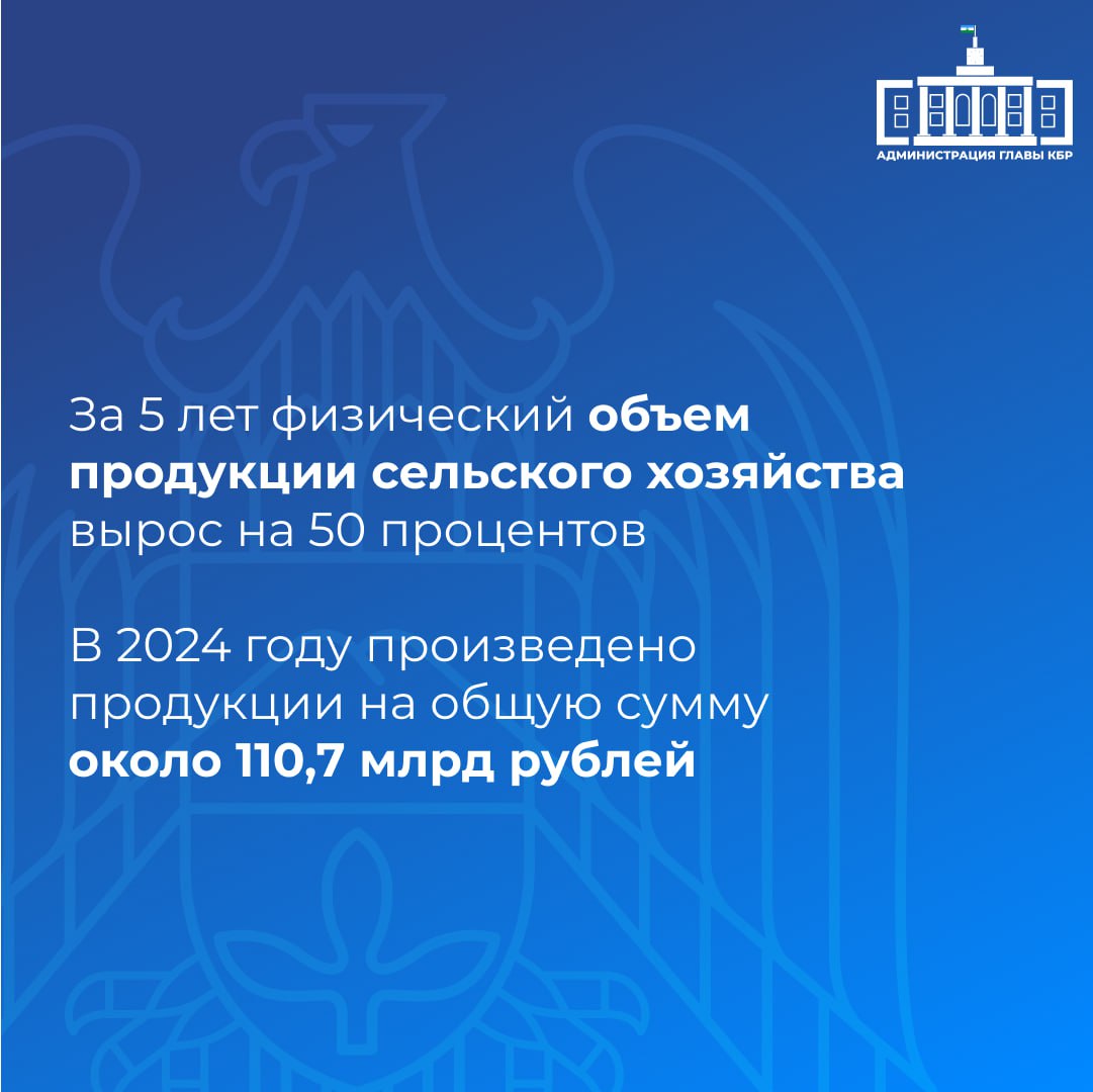 За последние пять лет физический объем продукции в аграрном секторе увеличился на 50%. В прошлом году произведено продукции на общую сумму около 110,7 млрд рублей. Глава региона отметил рост валового сбора зерна, развитие мелиорации, а также успехи в производстве плодоовощной продукции. Казбек Коков также обозначил важность государственной поддержки агропромышленного комплекса и намеченные планы по улучшению качества жизни на сельских территориях, что станет залогом устойчивого развития региона в будущем.