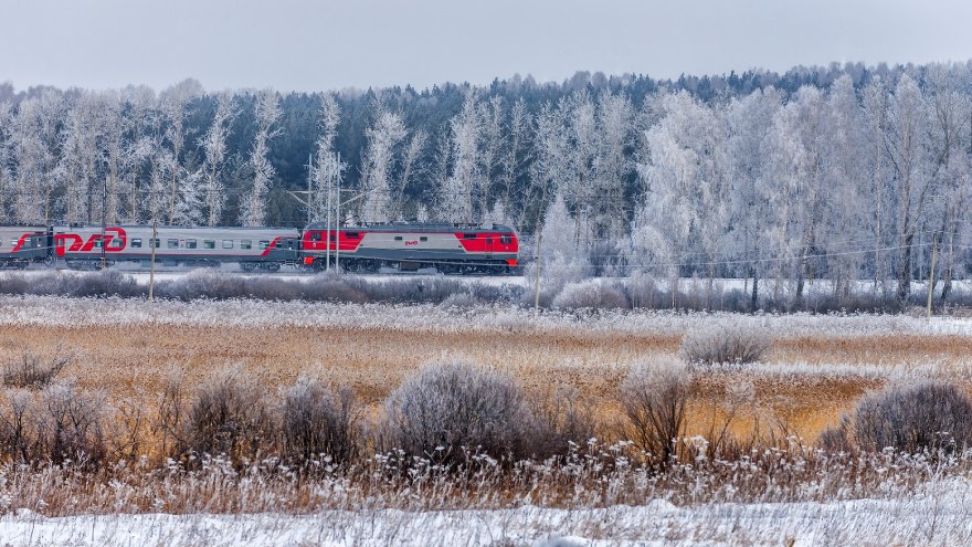 1743 ru Новости Оренбурга Дополнительные поезда из Оренбурга в Москву запустят в новогодние праздники В новогодние праздники Южно Уральская железная дорога запускает дополнительные поезда из Оренбурга в Москву и обратно Так можно будет уехать в столицу 26 27 декабря а также 2 3 5 6 8 9 января обратно из Москвы поезд отправляется 28 29 декабря 4 5 7 8 10 11 января Кроме того с 25 декабря пассажирский поезд 122 121 Оренбург Екатеринбург будет курсировать ежедневно В пресс службе ЮУЖД напоминают что в поездах имеются места для размещения маломобильных пассажиров есть мужские женские купе можно перевозить домашних животных без сопровождения владельцами есть багажное подробнее на канале 1743 ru Новости Оренбурга