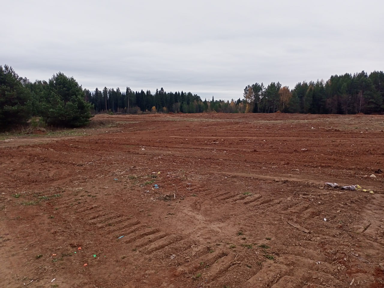 В Кировской области в прошлом году ликвидировали 30 старых свалок Пять из них убрали за счёт областного бюджета а ещё 25 силами местных властей В итоге удалось очистить от мусора более 33 гектаров земли Параллельно в регионе идёт работа по рекультивации это полноценное восстановление загрязнённых территорий В рамках нацпроекта Экологическое благополучие уже готовы проекты по четырём свалкам в Арбажском Верхошижемском Зуевском и Свечинском округах Сейчас они проходят экологическую экспертизу На проектную документацию по рекультивации полигона в Лебяжском муниципальном округе получено положительное заключение государственной экологической экспертизы Работы будут проведены в 2026 году Подписывайтесь на канал Кировской области в MAX