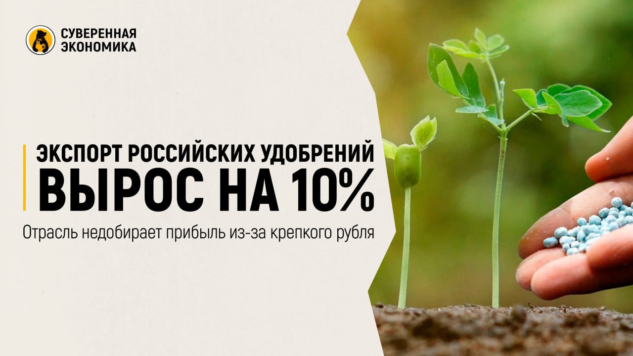 Экспорт российских удобрений вырос на 10% — отрасль недобирает прибыль из-за крепкого рубля  Поставки российских удобрений всех видов за рубеж в январе — мае составили 19,2 млн тонн, сообщил президент Российской ассоциации производителей удобрений  РАПУ . За год показатель вырос на 10%. Экспортные цены на большинство видов российских удобрений увеличились на 11—19% вслед за мировыми котировками, указывают аналитики. Несмотря на это, выручка компаний может оказаться ниже ожиданий из-за укрепления рубля.  РАПУ прогнозирует, что производство удобрений в этом году вырастет на 3%, до 65 млн тонн, а экспорт — на 5%, до 44 млн тонн. По данным Минпромторга, на экспорт идет около 70% продукции, 20% потребляет российское сельское хозяйство и еще 10% — другие отрасли промышленности. Цены на удобрения внутри страны заморожены с 2021 на фоне роста мировых котировок, последняя индексация была в 2022. Производители ожидали пересмотра стоимости весной, но решение перенесли на эту осень.  Среди других сложностей для отрасли отмечают меры Евросоюза. Последний планирует ввести пошлины на удобрения из России и Белоруссии с 1 июля, а потом поэтапно повышать их в течение 3 лет. В 2025-2026 к действующей ставке 6,5% добавится фиксированный сбор в €40—45 в зависимости от вида товара. Основные рынки сбыта уже сместились на юг и восток, однако и там пока не хватает стабильных логистических и финансовых каналов, отмечают аналитики.