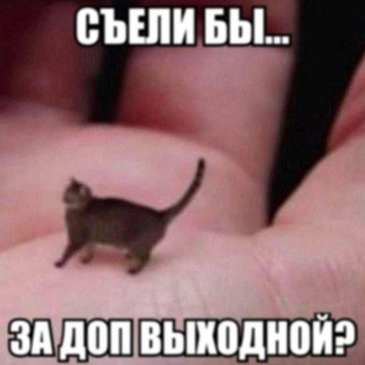 В Татарстане утвердили даты празднования Ураза байрама и Курбан байрама Первый праздник пройдет 20 марта а второй 27 мая Оба дня будут выходными   inde io news v tatarstane utverdili daty prazdnovaniya uraza bajrama i kurban bajrama