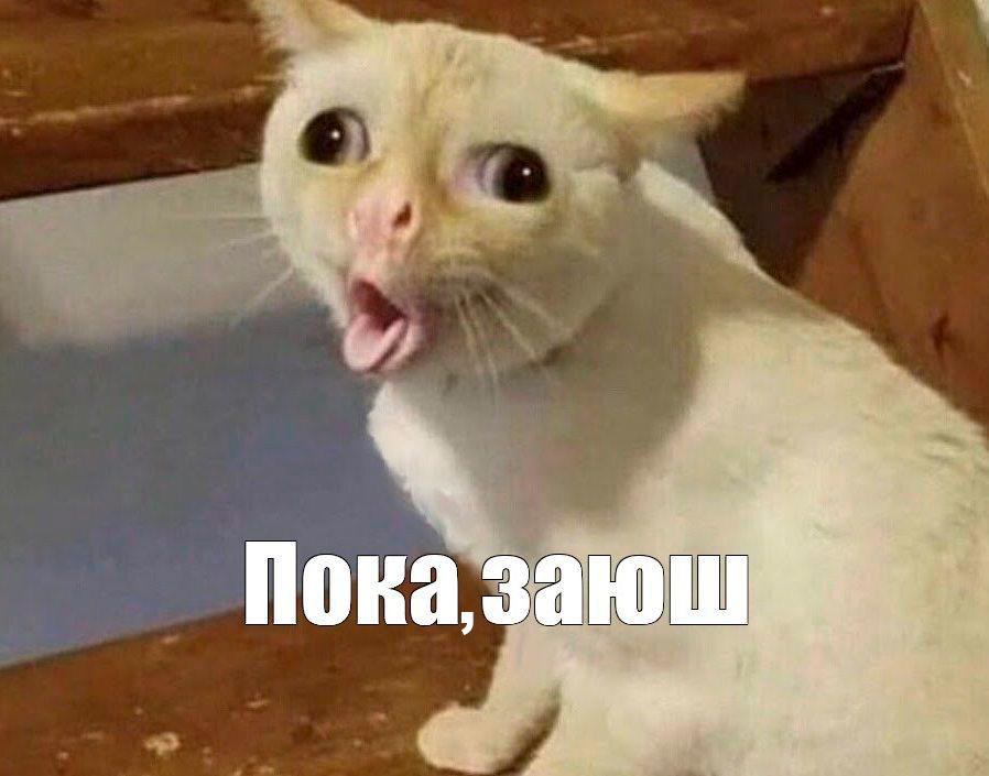 Спасибо все свободны в Германии закрывают крупнейший лагерь для украинских беженцев На месте бывшего аэропорта Тегель где раньше базировалось около 5 тысяч украинских беженцев до конца года больше не останется и палатки сообщает издание Страна Сейчас в лагере живет около 1 5 тысяч человек и им уже намекнули что пора паковать чемоданы Причина простая и очень по немецки трогательная внезапно выяснилось что на охрану лагеря за два года ушло 100 миллионов Куда и на что именно никто не знает Просто контроля не было Немецкая пунктуальность в действии сначала закрыли потом удивились теперь ищут виноватых   Подпишитесь на Абзац TG VK Дзен MAX Rutube