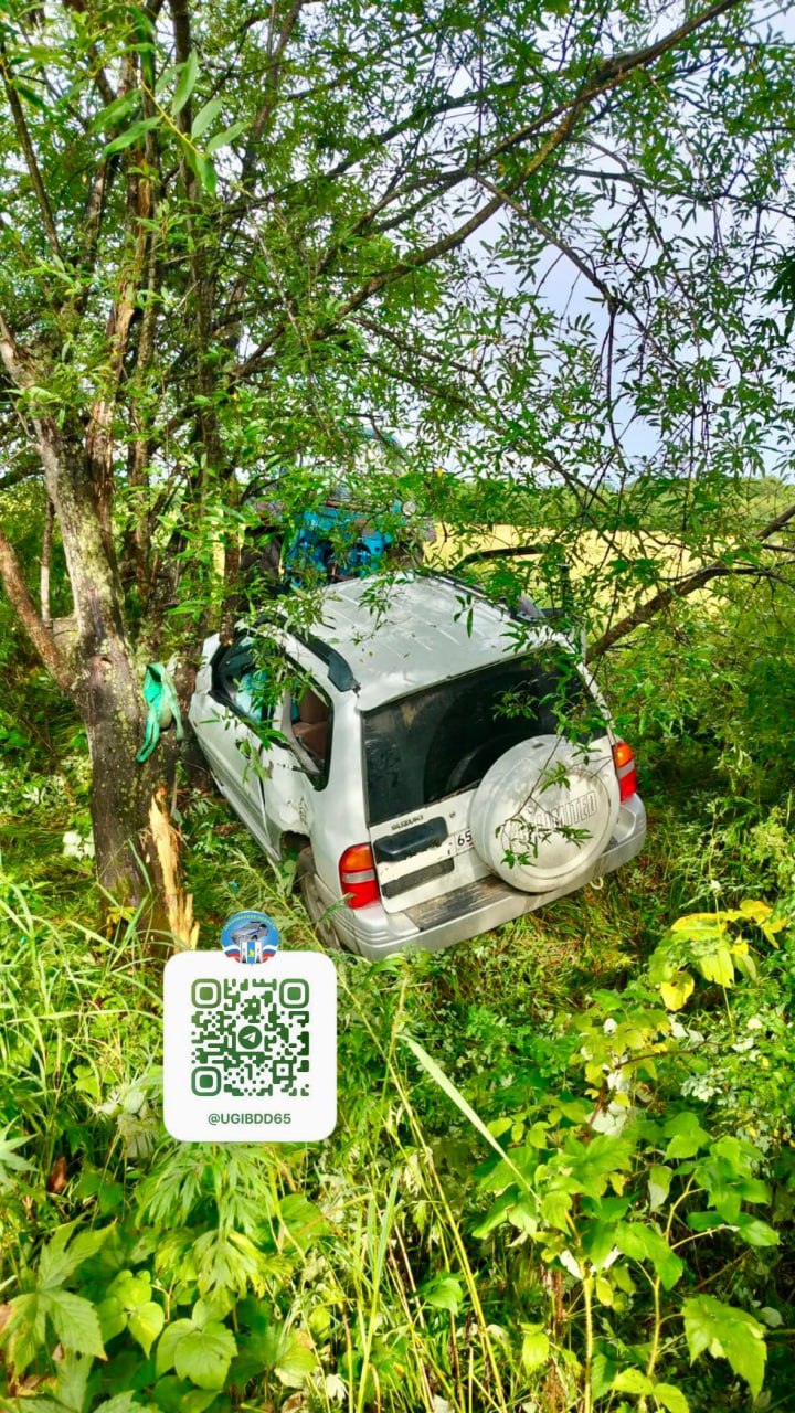 Две пассажирки получили травмы в результате ДТП в Смирныховском районе Обе женщины не были пристегнуты: ys.news/news/post/7956/