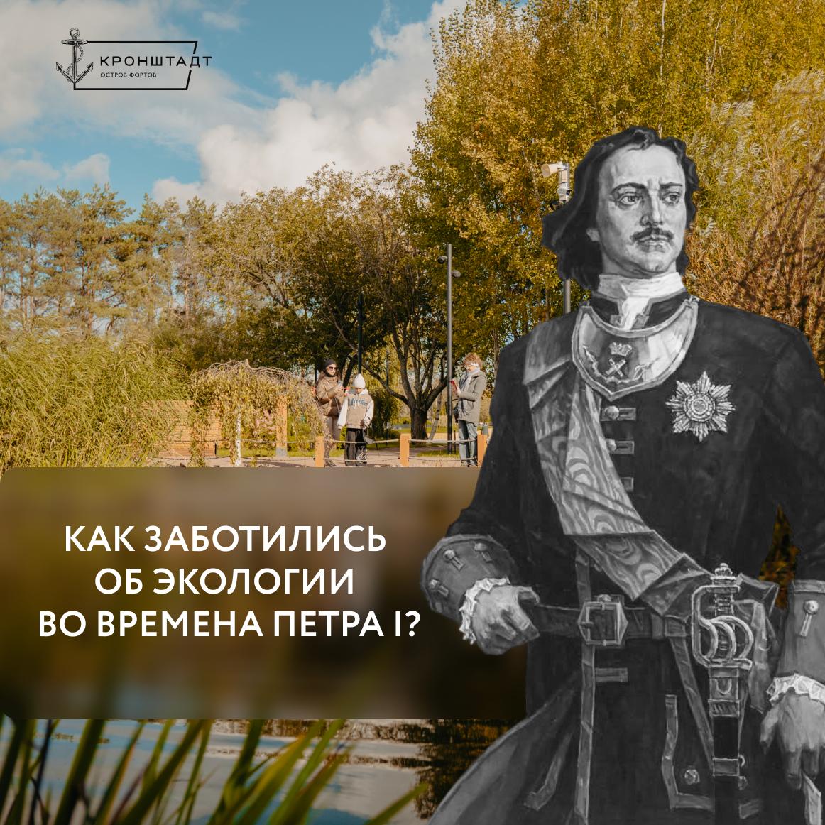 Как Пётр I заботился о сохранении природы В допетровские времена вырубка корабельного леса была бесконтрольной на строительство судов шли дубы клёны сосны вязы и лиственницы В 1718 году государь приказал посчитать пригодные для кораблестроения деревья и запретил рубить их под угрозой смертной казни а леса в том числе вокруг Санкт Петербурга объявил заповедными Пять лет спустя приняли ещё одну меру по защите экологии учредили вальдмейстерскую контору которая следила за лесами и выращивала деревья по всей стране Это позволило сберечь природные богатства для следующих поколений Сейчас эта славная традиция защиты деревьев продолжается в Острове фортов спасены старые яблони вокруг пруда сохранены деревья в самой зелёной четвёртой очереди музейно исторического парка