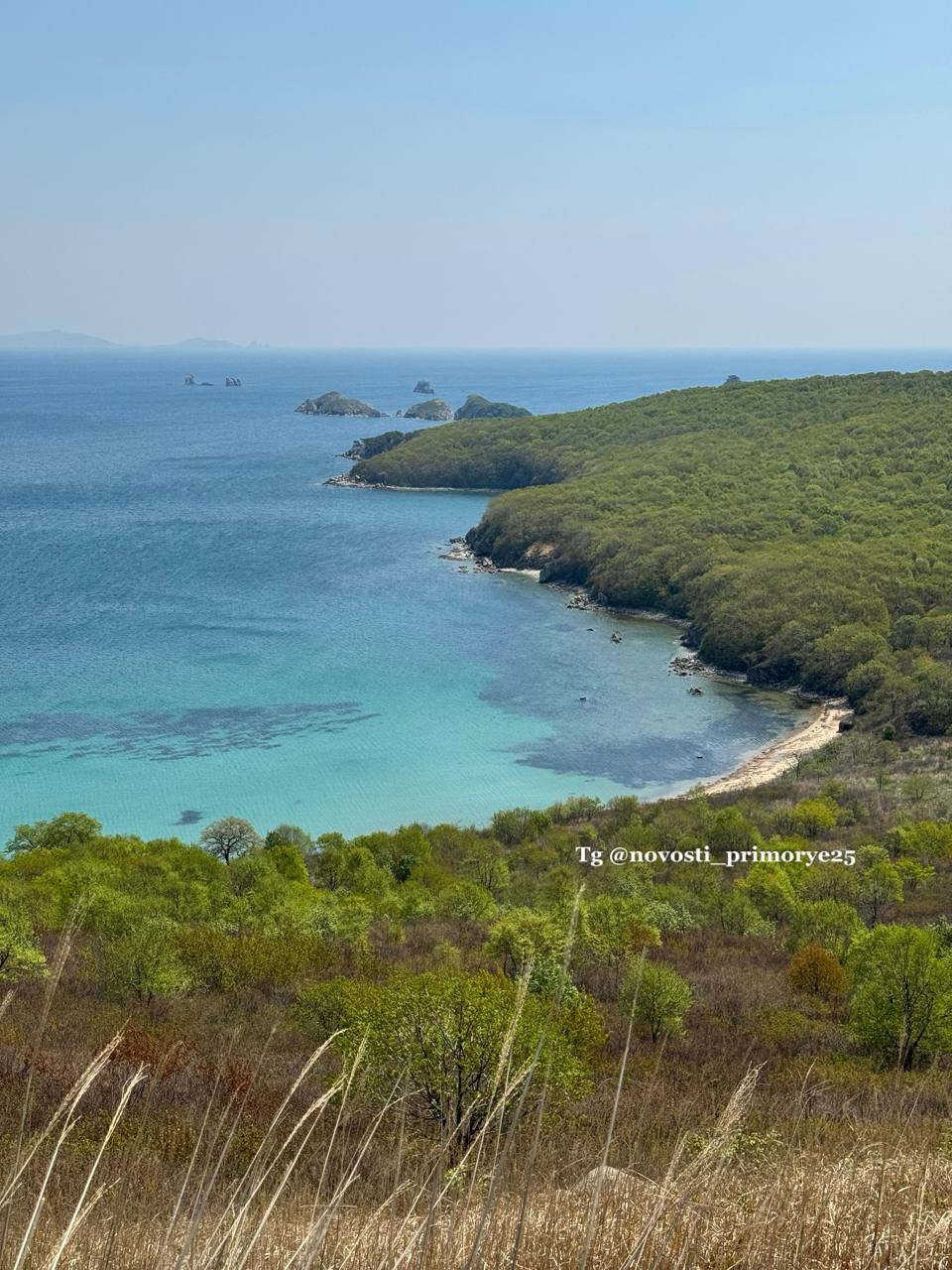 В Приморье мужчину на сапе унесло в открытое море В заливе Посьет Хасанского муниципального округа мужчину на сапе унесло с сторону в открытого моря Очевидцы обнаружили пустой сап борд с телефоном и спасательным жилетом Спасатели МЧС России направлены в район полуострова Краббе для оказания помощи в поиске гражданина