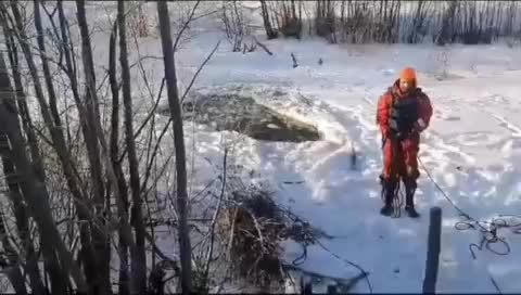 Спасение лошади из ледяной воды в Челябинской области