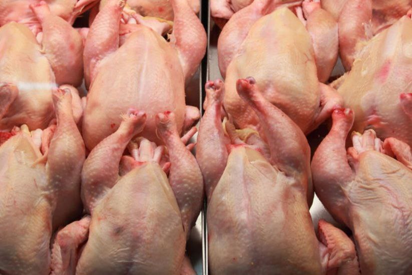 Национальное агентство по безопасности продуктов питания ANSA объявило о временной приостановке импорта куриного мяса и продуктов из него из Украины Мера принята чтобы защитить здоровье потребителей и обеспечить присутствие на рынке только безопасной продукции отметили в ANSA Решение последовало после комплексного расследования начатого после обнаружения запрещенного вещества метронидазола в партиях кормов ранее импортированных из Украины ANSA выявило несколько нарушений влияющих на безопасность продуктов  Подпишись на ГРТ