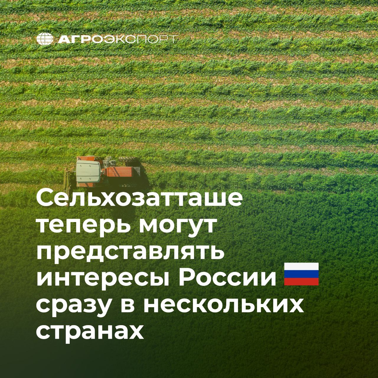 Сельхозатташе теперь могут представлять интересы России сразу в нескольких странах Сельскохозяйственные атташе получили право представлять государственные интересы одновременно в двух и более государствах согласно постановлению Правительства Российской Федерации от 21 октября 2025 подписанному Председателем Правительства Российской Федерации Михаилом Мишустиным Действующее положение о работе представителей Минсельхоза за рубежом утвержденное в 2020 году дополнено следующим абзацем На представителей Министерства сельского хозяйства Российской Федерации по согласованию с Министерством иностранных дел Российской Федерации и компетентными органами соответствующих иностранных государств может быть возложено осуществление предусмотренных настоящим положением функций в двух и более государствах Минсельхоз России формирует сеть сельхозатташе с 2019 года Это важнейший инструмент развития российского аграрного экспорта Представители министерства за рубежом работают над увеличением объемов поставок отечественной продукции и расширением номенклатуры обеспечением доступа для наших производителей на новые рынки снятием тарифных и нетарифных барьеров анализом зарубежных практик и инструментов поддержки сельхозпроизводителей Это в том числе позволяет оперативно реагировать на изменения рыночной конъюнктуры В настоящее время перечень стран пребывания представителей Минсельхоза России включает 38 государств Подробнее со списком сельхозатташе можно ознакомиться на сайте Агроэкспорта по ссылке агроэкспорт новостиАПК