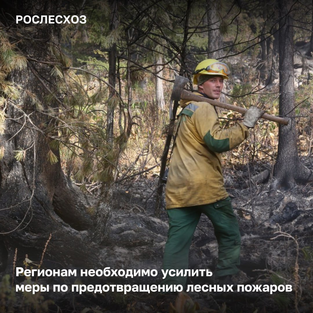 Высокий рост пожарной опасности прогнозируется в Забайкальском крае, Республике Бурятия, ЦФО, ЮФО и ПФО. Этим регионам и округам необходимо принять дополнительные меры по предотвращению лесных пожаров. «По прогнозам Росгидромета, в этих регионах ожидается повышение температуры до 30 градусов, при этом осадки будут минимальными. Такие погодные условия создают риск для быстрого распространения лесных пожаров и увеличивают их опасность. В связи с этим крайне важно принять все необходимые меры для недопущения ухудшения ситуации – это включает в себя усиление профилактических работ, оперативное обнаружение и тушение лесных пожаров», - подчеркнул заместитель руководителя Рослесхоза Алексей Венглинский на заседании Федерального штаба по координации деятельности по тушению лесных пожаров. Лесопожарная обстановка в Забайкалье На 11:00 мск там тушат 32 лесных пожара на площади свыше 700 тыс. га. В тушении задействованы свыше 1,7 тыс. человек и более 200 ед. техники. В ходе заседания Федеральной Авиалесоохране было поручено по обращению регионов приступить к выполнению работ по прокладке минерализованных полос взрывным способом и вызыванию осадков для эффективной ликвидации пожаров в лесах.