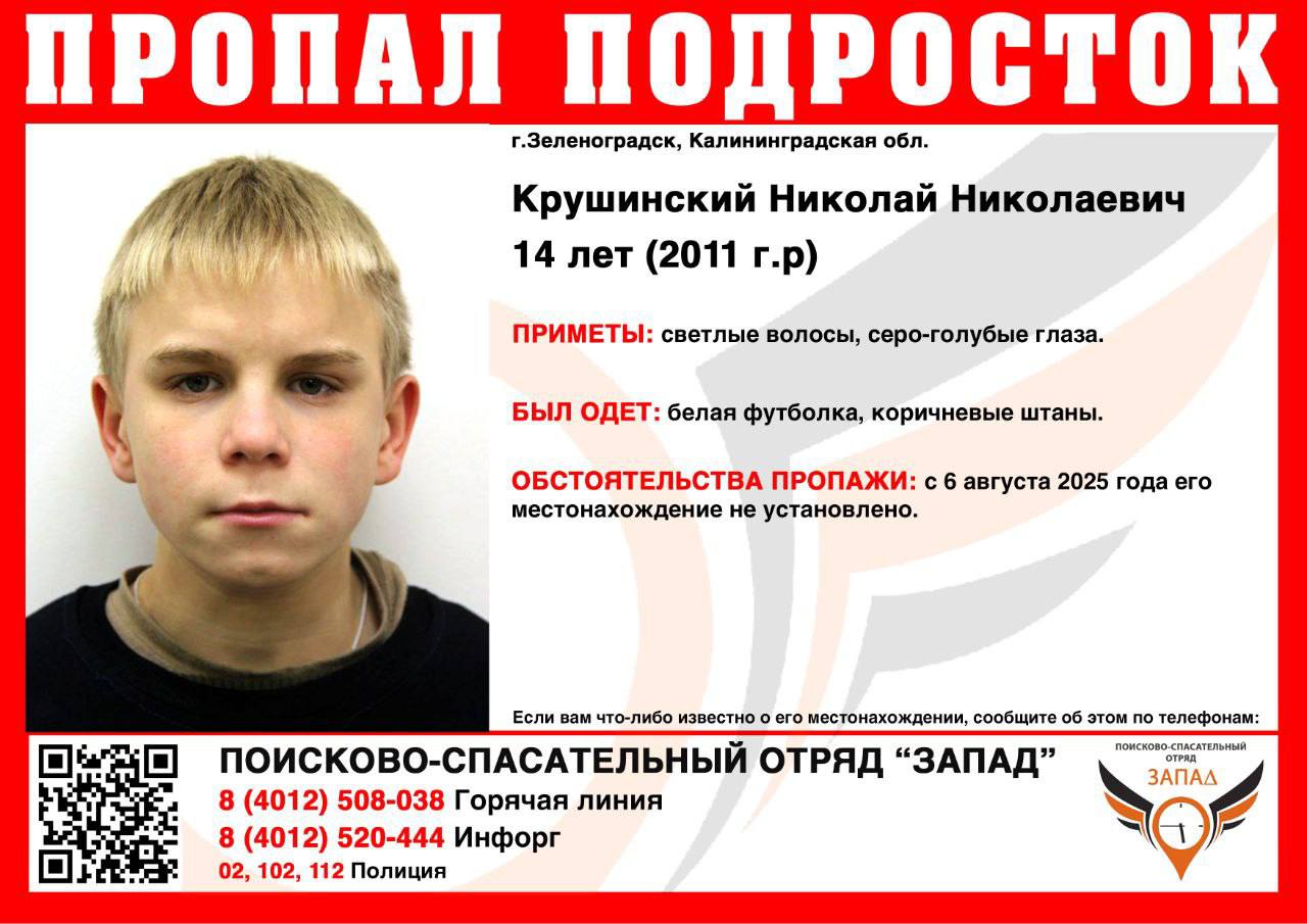 В Зеленоградске пропали четыре подростка: два 14-летних и два 13-летний мальчика  Мальчиков не могут найти с 6 августа:   14-летний Николай Крушинский был одет в белую футболку и коричневые штаны. У мальчика светлые волосы и серо-голубые глаза.   13-летний Илья Кривчиков был одет в тёмно-серую футболку и чёрные штаны. У пропавшего  светло-русые волосы, серые глаза.   14-летний Матвей Зайцев был одет в жёлтую футболку и коричневые штаны. Рост мальчика — 140 см. У него рыжие волосы и серо-голубые глаза.   13-летний Егор Мокшин был одет в чёрную кофту и такого же цвета штаны. Рост подростка — 140 см. У него тёмные волосы и карие глаза.