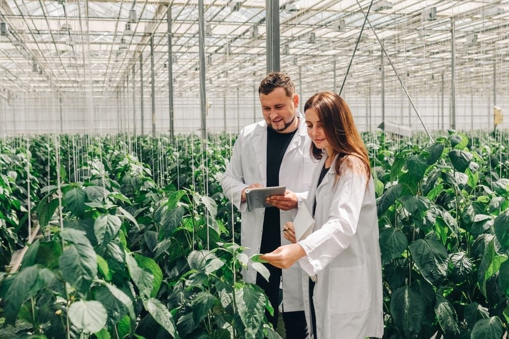 Спрос на агрономов в России стремительно растёт В 2025 году российское растениеводство увеличило потребность в квалифицированных кадрах особенно ценятся специалисты с узкой специализацией и цифровыми навыками Рост спроса связан с расширением производства и внедрением новых технологий Работодатели активно конкурируют за профессионалов а для молодежи открываются гибкие вакансии и программы профориентации АНДРЕЙ СИГУТА АПК