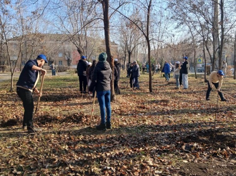 В Волжском появились ещё десятки молодых деревьев  В Волжском продолжается осенняя акция по высадке зеленых насаждений. Как рассказали Волжский.ру в городской администрации, на днях мероприятие провели в поселке Краснооктябрьский недалеко от центра «Восход. В высадке приняли участие активисты окружного общественного совета № 12 и председатель округа Галина Давыдова, представители первичной организации городского Совета ветеранов, учащиеся 15-й школы и школы-интерната и другие. На аллее памяти, появившейся здесь в прошлом году, волжане высадили 10 саженцев елей. Также молодые деревья появились в сквере на улице Рабоче-Крестьянской.   Подробнее на Волжский.ру: