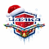 Аватар Телеграм канала: МХК Чайка