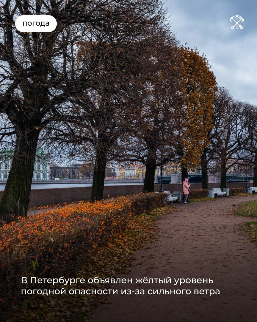 По информации Рocгидрометцeнтрa, 22 октября до 21:00 на территории Петербурга объявлен жёлтый уровень погодной опасности в связи с сильным ветром.   На побережье порывы могут достигать 15 метров в секунду.  Просим соблюдать особую осторожность. Водителям — по возможности воздержаться от поездок на личном транспорте.