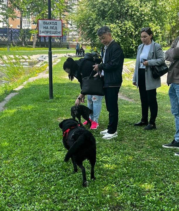 В парке Южно-Сахалинска провели рейд по собачникам и нашли одного нарушителя Рейд на соблюдение требований выгула собак провели в городском парке. В нём приняли участие представители административной комиссии города, а также правоохранители. В департаменте общественной безопасности администрации сообщили, что на посетителя, нарушавшего правила выгула, составили протокол по ст. 33-5 Закона Сахалинской области от 29.03.2004 "Об административных правонарушениях в Сахалинской области". Для справки: на сайте парка культуры и отдыха им. Гагарина сообщается, что входить и находиться на территории с домашними животными запрещено.