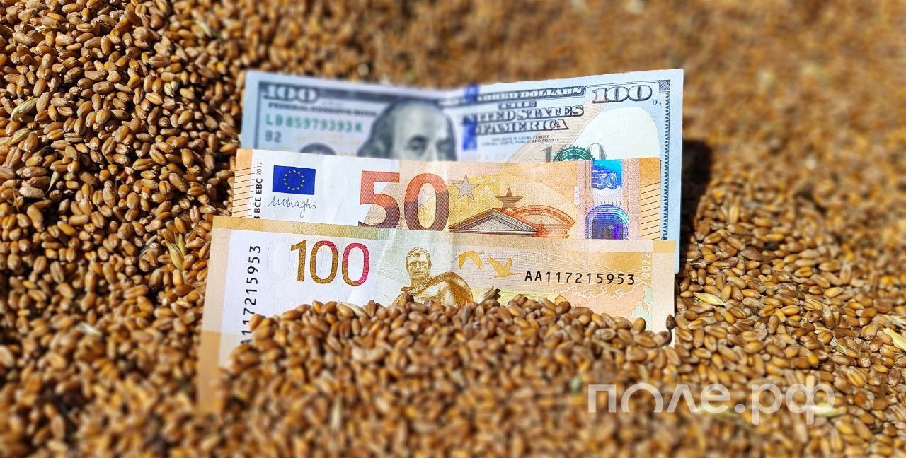 Ставки по ранее выданным льготным кредитам в АПК вернутся в диапазон от 1 до 5 в 2026 году Об этом заявила министр сельского хозяйства Оксана Лут на форуме сельхозпроизводителей организованном Ассоциацией Народный фермер в рамках выставки ЮГАГРО 2025 Она напомнила что для фермеров компенсация составляет 70 от ставки новых банковских кредитов что позволяет получать средства на более льготных условиях Напомним что Минсельхоз РФ на 2025 год изменил размер субсидирования процентной ставки Центрального банка России по льготным инвестиционным кредитам выданным в период с 2017 по 2022 год Ставка по ним составляет не менее 1 и не более 50 от ключевой ставки ЦБ ранее не более 5 Подробнее pole journal