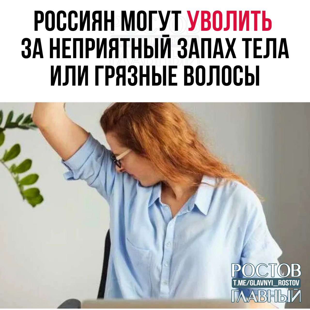 Россиян могут уволить за неприятный запах тела или грязные волосы предупреждают юристы Такое возможно если в трудовом распорядке указано требование соблюдать правила гигиены Даже если сотрудник вспотел по дороге на работу руководство имеет право посчитать это нарушением дисциплины Однако сначала начальник обязан лично сделать замечание и потребовать устранить запах glavnyi rostov Присылайте ваши фото видео новости мне в лс glavnyi admin