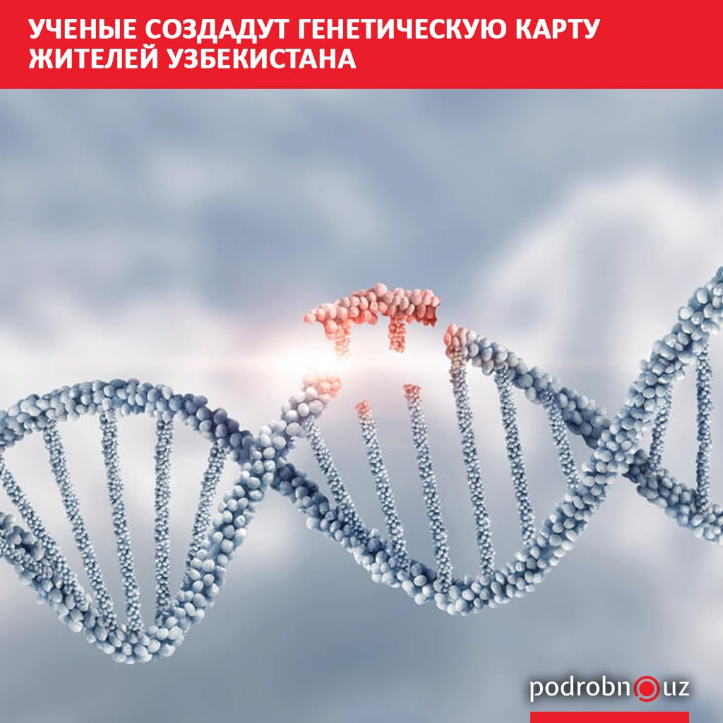 Ученые Центра передовых технологий при Министерстве высшего образования науки и инноваций впервые в истории страны полностью расшифровали и проанализировали гены узбекистанцев Почти треть выявленных мутаций оказалась неизвестна мировой науке и внесена в международные базы данных podrobno uz cat obchestvo uchenye sozdadut geneticheskuyu kartu zhiteley uzbekistana Telegram Instagram Facebook Читать на узбекском