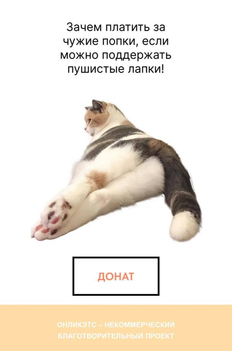 OnlyFans для котиков запустили в России.   Вместо откровенных фото моделей здесь публикуют животных: собачек, хомячков, кошечек. А пользователи могут отправлять донаты.
